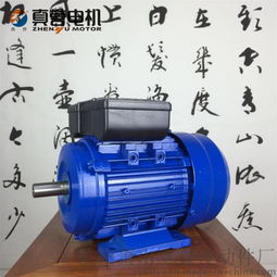 高效節能之選——真譽YL71 2極單相雙值電容非同步電動機深度評測